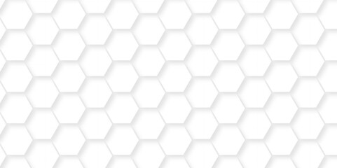 Emboss white Hexagonal Background. Luxury White Pattern. Vector Futuristic minimal honeycomb mosaic white background. geometric mesh cell texture. modern futuristic wallpaper.