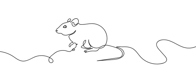 continuous line rat Simple lines, transparent background, editable strokes.
