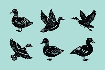 Mandarin Duck bird, silhouette vector illustration