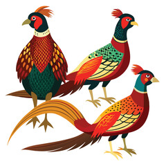 Pheasant birds set shilhotee vector isolated on white background
