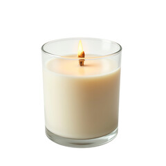 Elegant scented candle illuminating the space.