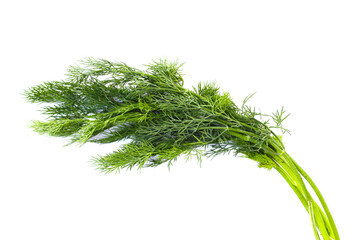 Fresh green dill on white.