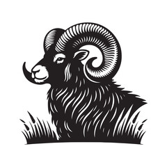 vector illustration of a rhinoceros