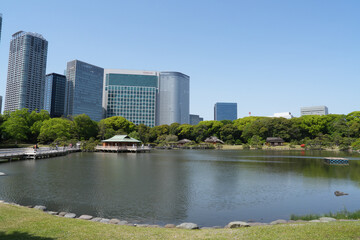 Fototapeta premium 浜離宮恩賜庭園