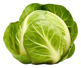 Fototapeta premium PNG Brussel sprout vegetable cabbage plant.