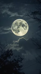 Peaceful moon behind forest canopy in dark sky captured as calm and artistic nature inspired digital background wallpaper Premium Stock Photography