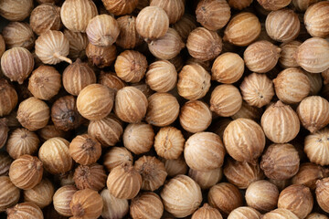 コリアンダーシード（ホール）のクローズアップ