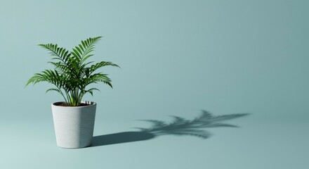 Obraz premium Potted Plant on Blue Background