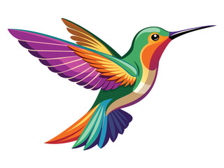 Vector art shows a flying hummingbird, a wild animal with a long beak and delicate wings, near a vibrant flower in a nature illustration