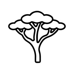 acacia tree line drawn outline vector art - illustration of acacia tree isolated transparent background