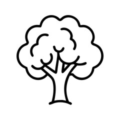 beech tree line drawn outline vector art - illustration of beech tree isolated transparent background