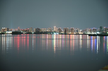 Night view of Tokyo Gate Bridge