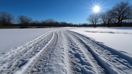 Obraz premium Winter landscape with a snowy path