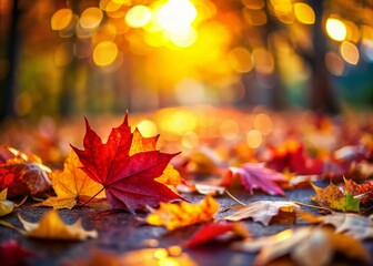 Fototapeta premium Vibrant Red and Yellow Autumn Leaves, Candid Nature Photography