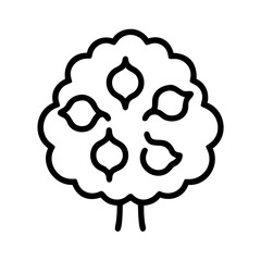 walnut tree line drawn outline vector art - illustration of walnut tree isolated transparent background