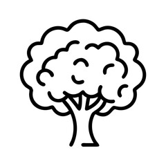 walnut tree line drawn outline vector art - illustration of walnut tree isolated transparent background