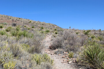 Woman at the end of a trail on top of a hill at Big Bend National Park with yucca plants