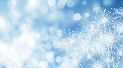 Winter wonderland scene featuring delicate dandelion seed heads.