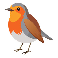 Robin birds set shilhotee vector isolated on white background