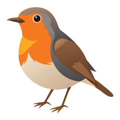 robin bird cartoon