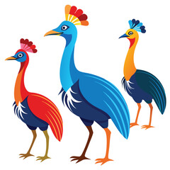Fototapeta premium Cassowary birds set shilhotee vector isolated on white background