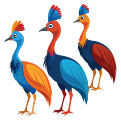 Cassowary birds set shilhotee vector isolated on white background