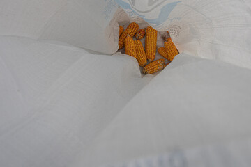 East Sumba – 04. 21. 2025 – Harvest time is always eagerly awaited by farmers; the effort of...