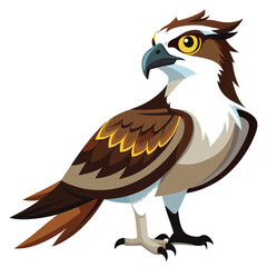 Ospreys birds set shilhotee vector isolated on white background