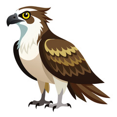 Ospreys birds set shilhotee vector isolated on white background