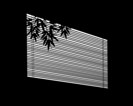 Window blind shadow with leaf silhouette on a light gray wall. Parallel lines of light and shadow are partially obscured by foliage