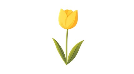 Yellow Tulip Flower Spring Bloom.