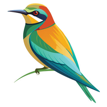 Bee-eater birds set shilhotee vector isolated on white background