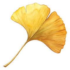 Naklejka premium Watercolor Ginkgo Biloba Leaf Illustration Autumn Colors, Fan Shape, Unique Design
