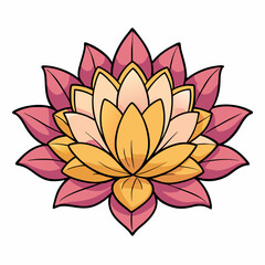 pink lotus flower