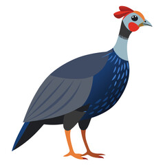 Guinea fowl birds set shilhotee vector isolated on white background