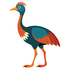 Moa birds set shilhotee vector isolated on white background