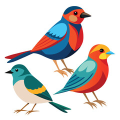 Passerine birds set shilhotee vector isolated on white background