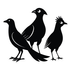 Rallidae birds set shilhotee vector isolated on white background