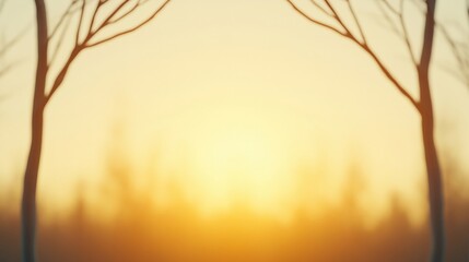 A serene sunset framed by silhouettes of bare trees, creating a tranquil and warm atmosphere.