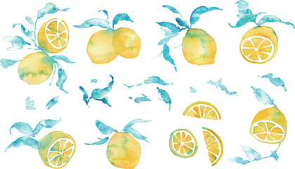水彩のレモンイラスト。水彩画のレモンベクター素材。夏のレモン背景イラスト。Watercolor lemon illustration. Watercolor lemon vector material. Summer lemon background illustration.