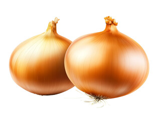 Fototapeta premium Photo of Two Brown Onions Isolated on Transparent Background