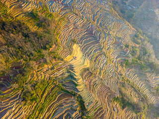 Yuanyang Rice Terraces is one of the UNESCO world heritage,Yunnan, China. Bada rice terraces scenic area is the sunset view point, close up