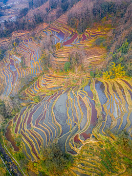 Panoramic aerial view of the Yuanyang Hani Rice Terraces, China, wallpaper