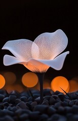yellow flower on black background