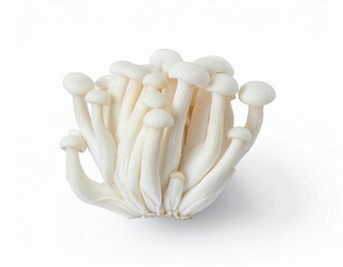 Fresh White Shimeji Mushrooms Cluster Close Up Studio Shot on White Background Ideal for Culinary and Health Food