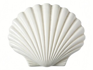 Elegant White Ceramic Scallop Shell Decor Coastal Home Ornament Beach Theme