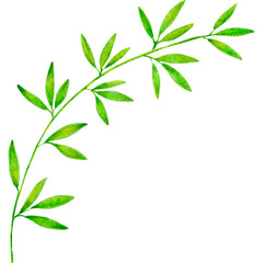 水彩の七夕の笹の葉のイラストフレーム