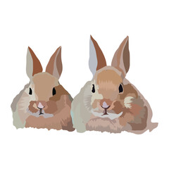 Adorable gray and brown rabbit vector. Cute cartoon bunny with big ears and soft fur. Perfect for kids’ designs, Easter, animal themes. Isolated, editable, and high-quality ilUntitled-6 [Converted].ai