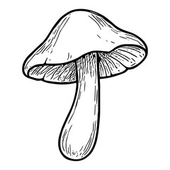 Mushroom 2
