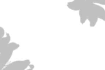 Minimal Shadow Overlay